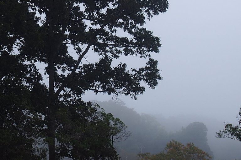 霧